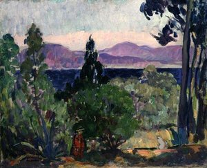 Landschaft des Midi