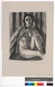 Sitzender Akt mit Tüllhemd von Henri Matisse
