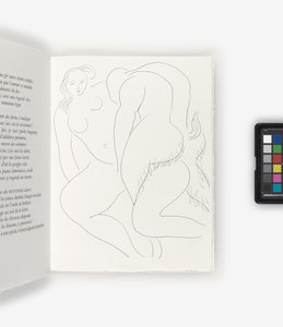 Gedichte von Henri Matisse