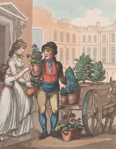 Rufe von London, Nr. 6: Alles wächst, hier sind Blumen von Henri Merke