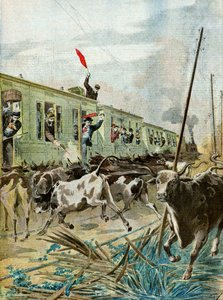 Ein Zug wird von einer Herde Stiere angegriffen, 1895 (Illustration)