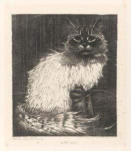 Bunte Angora von Henri Verstijnen (signed by artist)