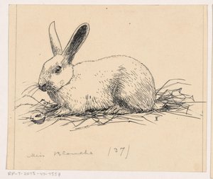 Kaninchen von Henri Verstijnen (signed by artist)