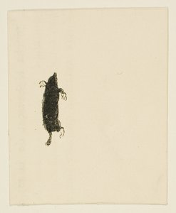 Vignette aus Au Pied du Sinaï von Henri de Toulouse-Lautrec