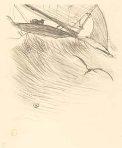 Die Seeschwalben