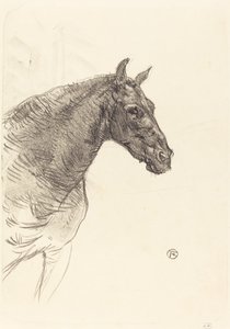 Das alte Pferd