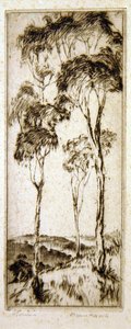 Gummibäume von Henri van Raalte