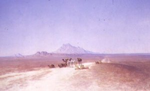 Wüstenlandschaft