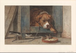 Katze beobachtet Vögel bei einem schlafenden Hund