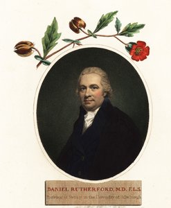 Porträt von Daniel Rutherford, Botaniker (Gravur)