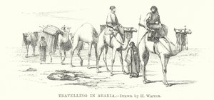 Reisen in Arabien von Henry (after) Warren