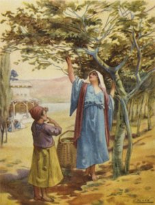 Feigen sammeln (Farblithografie) von Henry Andrew Harper
