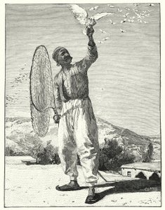 Vögel auf dem Dach im Osten fangen (Lithografie) von Henry Andrew Harper