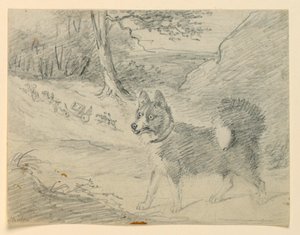 Studie eines Elchhundes von Henry Bernard Chalon