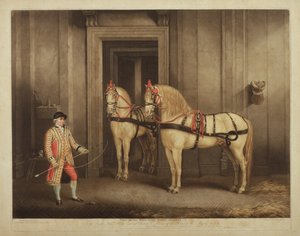 Zwei Staatsrosse Seiner Majestät, graviert von William Ward, 1. September 1800 von Henry Bernard Chalon