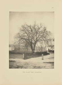Die Clark-Ulme, Lexington von Henry Brooks