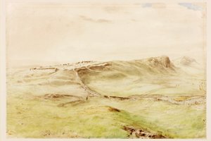 Borcovicus von Henry Burdon Richardson
