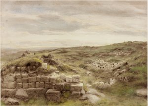 Housesteads von Henry Burdon Richardson