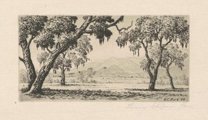 Kalifornische Landschaft