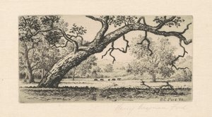 Kalifornische Landschaft, 1888