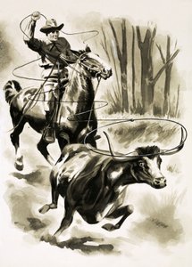 Ein Cowboy fängt ein Rind vom Pferd aus mit einem Lasso von Henry Charles Fox
