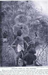 Vogeljagd in den Sümpfen, ca. 1920