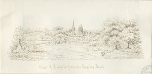 Lichfield - Nordansicht (fern) von Henry Curzon Allport