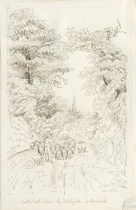 Lichfield Kathedrale - Südostansicht (fern)