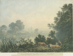 Lichfield Kathedrale - Blick von Aldershaw von Henry Curzon Allport