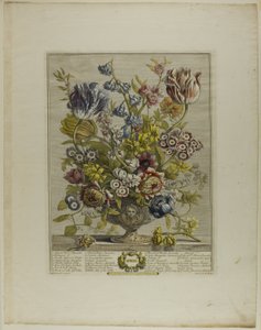 April, aus Zwölf Monate der Blumen von Henry Fletcher