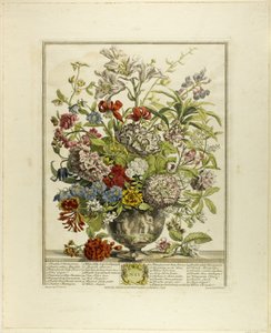Juli, aus Zwölf Monate der Blumen