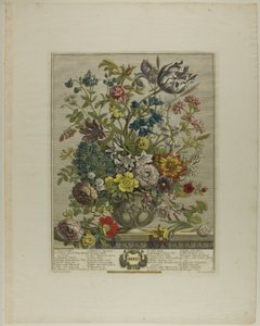 Mai, aus Zwölf Monate der Blumen von Henry Fletcher