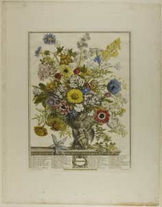 November, aus Zwölf Monate der Blumen von Henry Fletcher