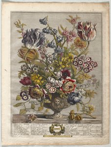 Zwölf Monate der Blumen: April, 1730