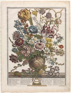 Zwölf Monate der Blumen: März von Henry Fletcher