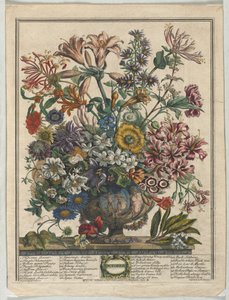 Zwölf Monate der Blumen: Oktober