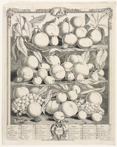 Zwölf Monate der Früchte: August von Henry Fletcher