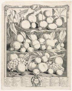 Zwölf Monate Obst: August, 1732 von Henry Fletcher