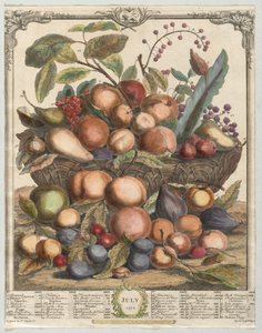 Zwölf Monate Obst: Juli von Henry Fletcher