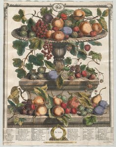 Zwölf Monate der Früchte: Juni, 1732