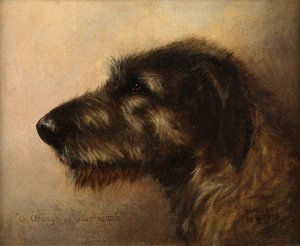 Champion Clodagh von Ouborough, ein Irischer Wolfshund von Henry Frederick Lucas Lucas