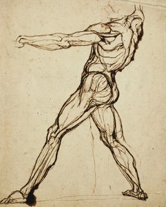 Ein Akt wirft von Johann Heinrich Füssli
