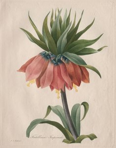 Kaiserkrone