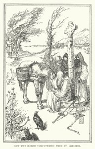 Wie das Pferd mit St. Kolumba mitfühlte von Henry Justice Ford