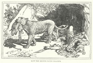 Wie die Löwin Malchus rettete von Henry Justice Ford