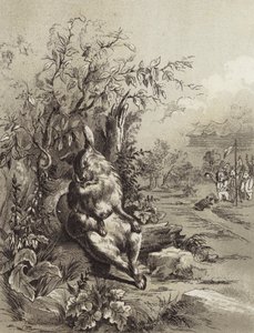 Die Fabeln des Äsop: Der Hase und die Schildkröte (Lithografie)
