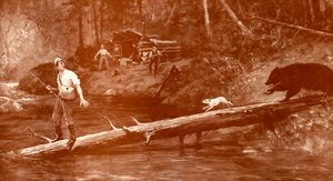 Bär nähert sich Fischern im Wald von Henry Marriott Paget
