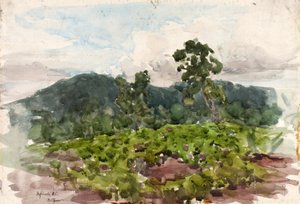Highlands, N.C. von Henry Ossawa Tanner