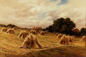 Ein Kornfeld in Surrey, nahe Reigate