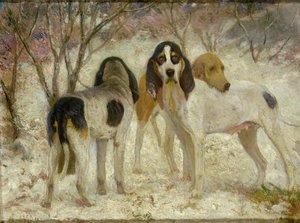 Vrelay-Alte Englische Hirschhunde